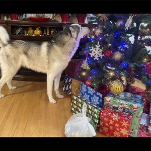 Meet your Posher, Huong